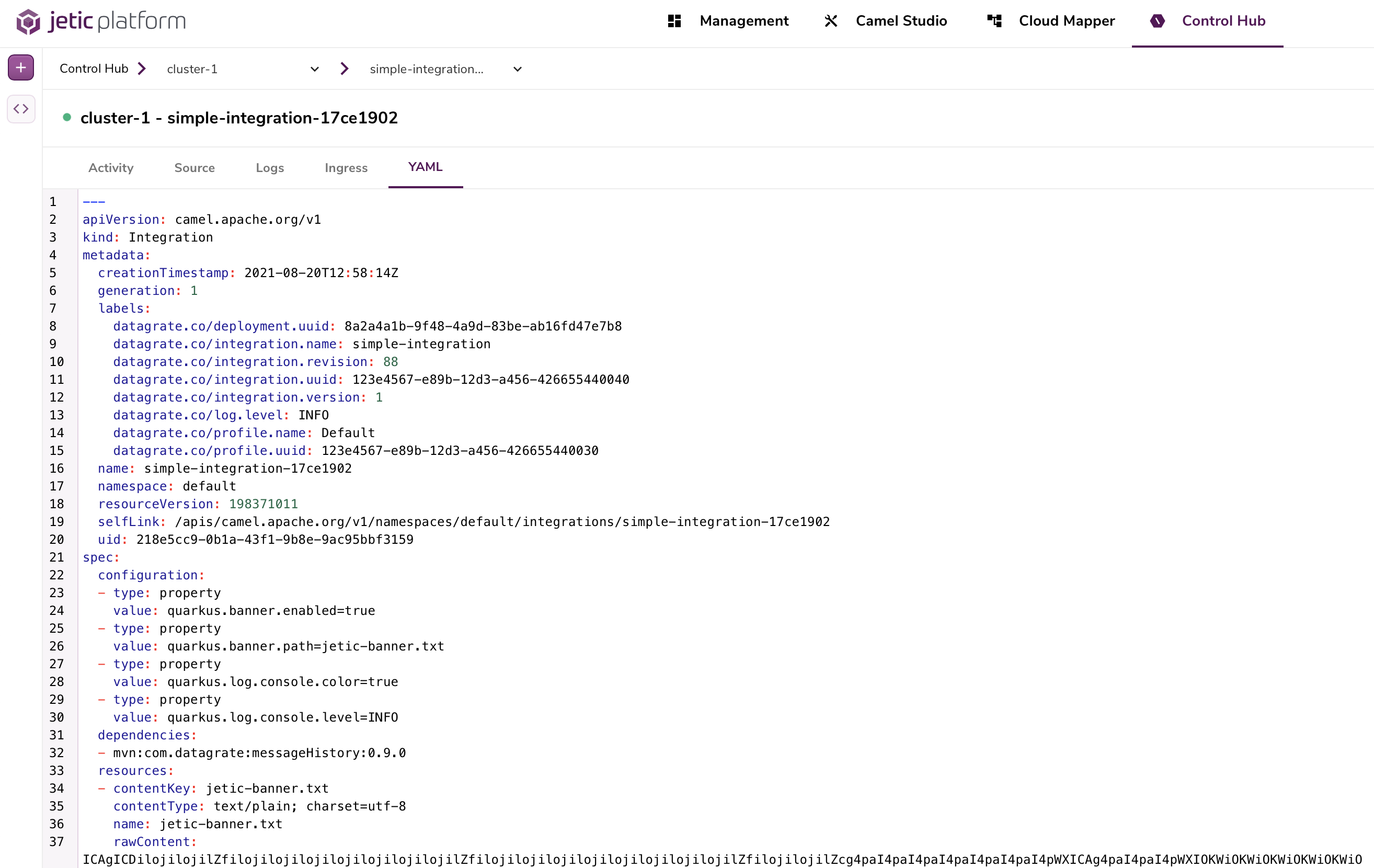 generated-integration-yaml